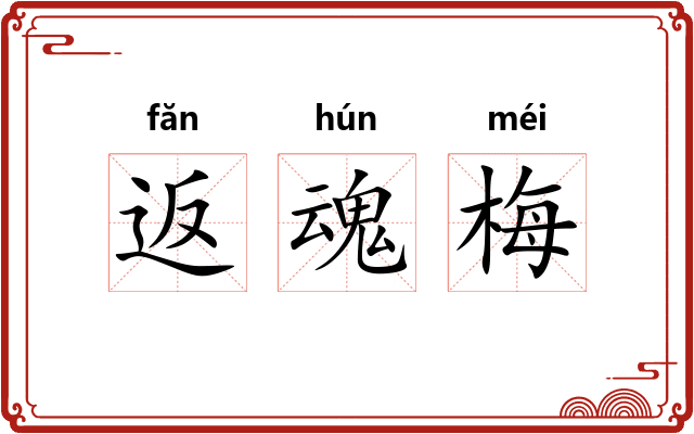 返魂梅