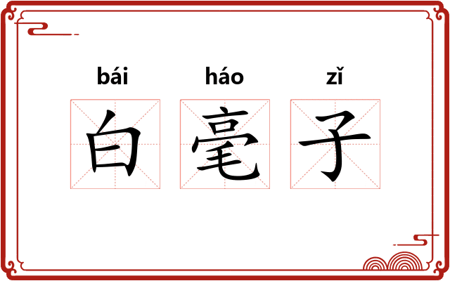 白毫子