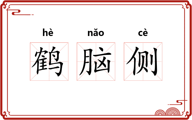 鹤脑侧