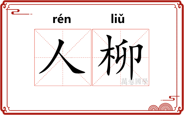 人柳