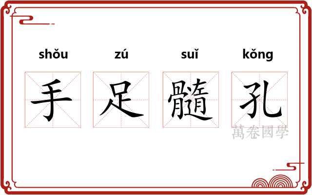 手足髓孔