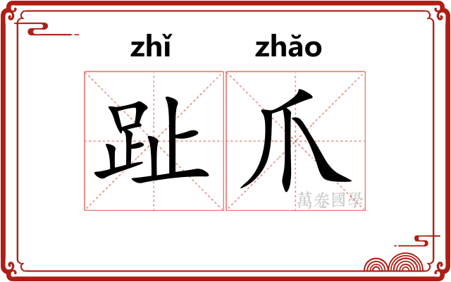 趾爪