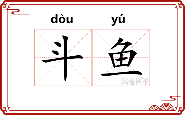 斗鱼 斗鱼