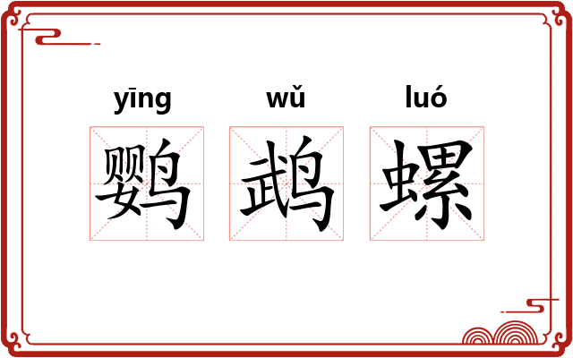鹦鹉螺