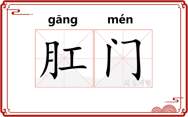 肛门