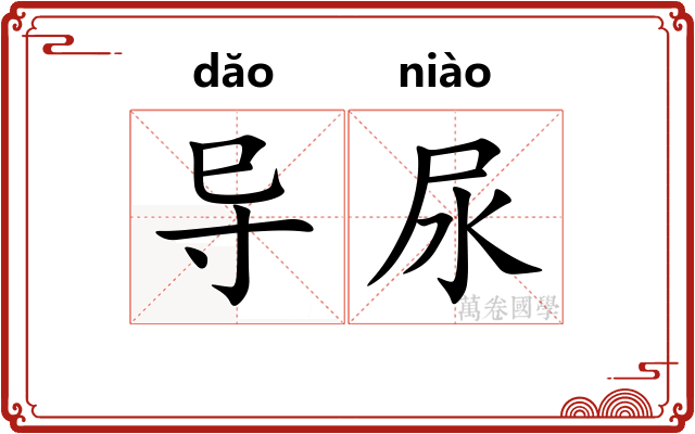 导尿