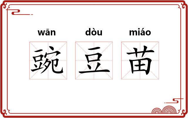豌豆苗