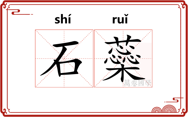 石蘂