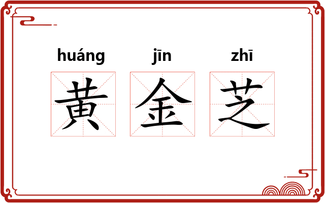 黄金芝