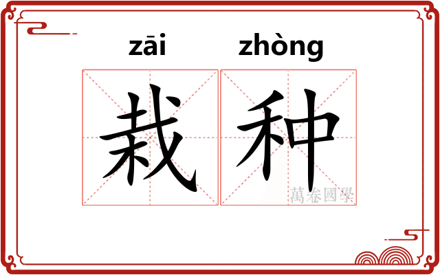栽种