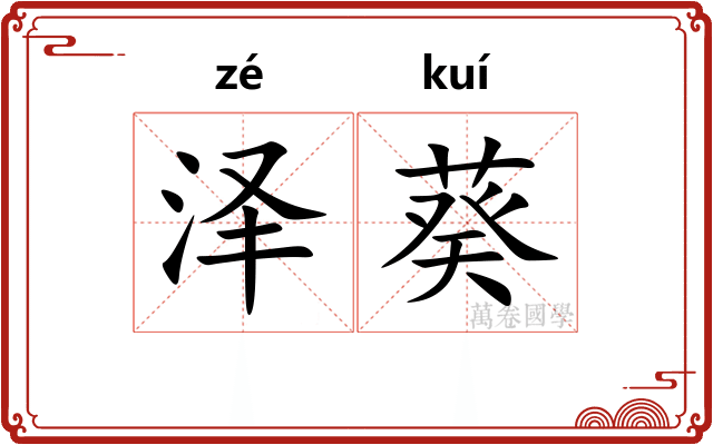 泽葵 泽葵