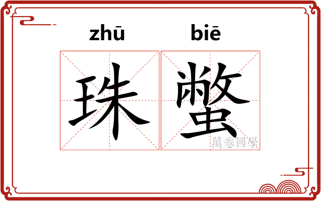 珠蟞