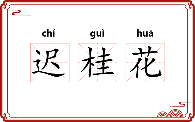 迟桂花 迟桂花