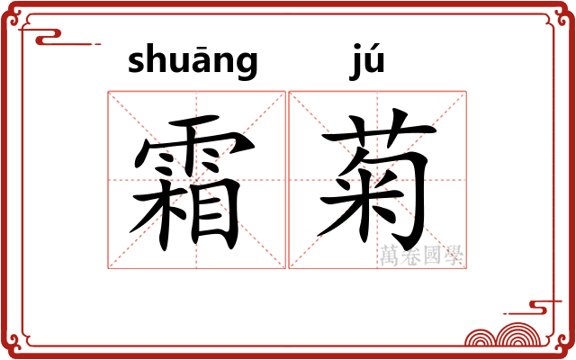 霜菊