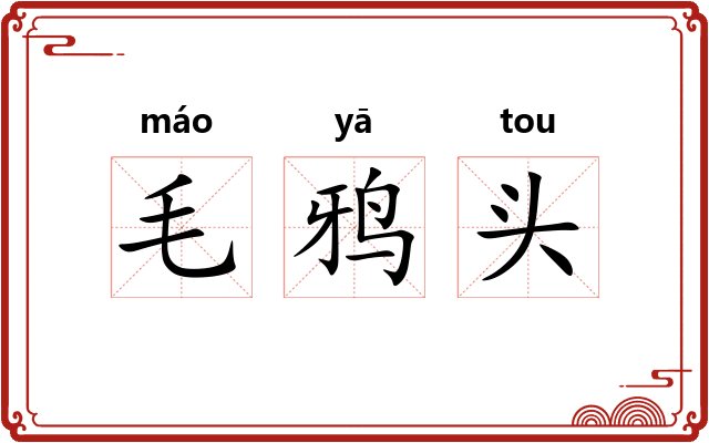 毛鸦头