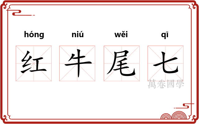 红牛尾七