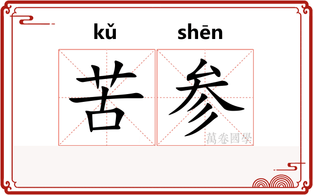 苦参 苦参