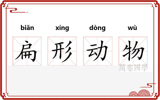 扁形动物 扁形动物
