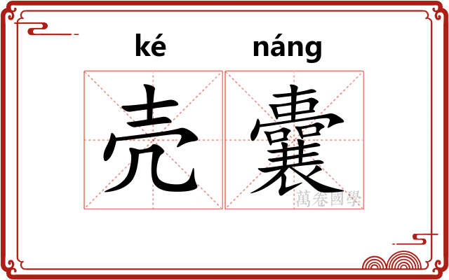 壳囊