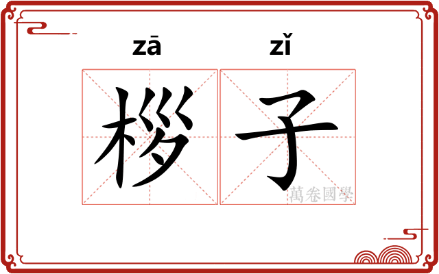 桚子