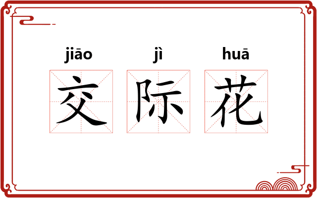 交际花 交际花