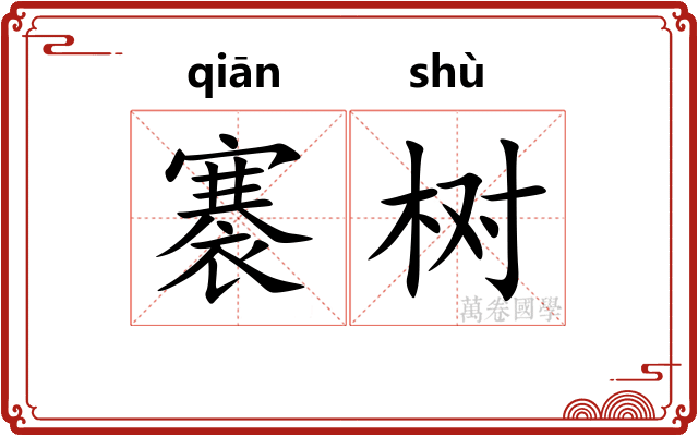 褰树