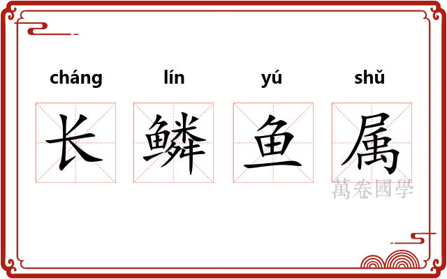 长鳞鱼属