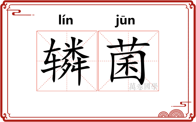 辚菌