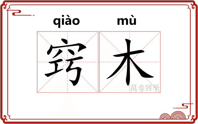 窍木