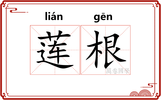 莲根 莲根