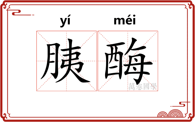 胰酶