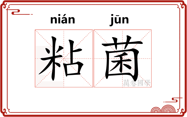 粘菌