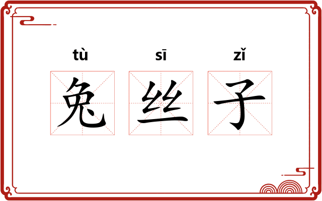 兔丝子