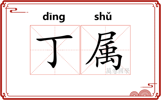 丁属