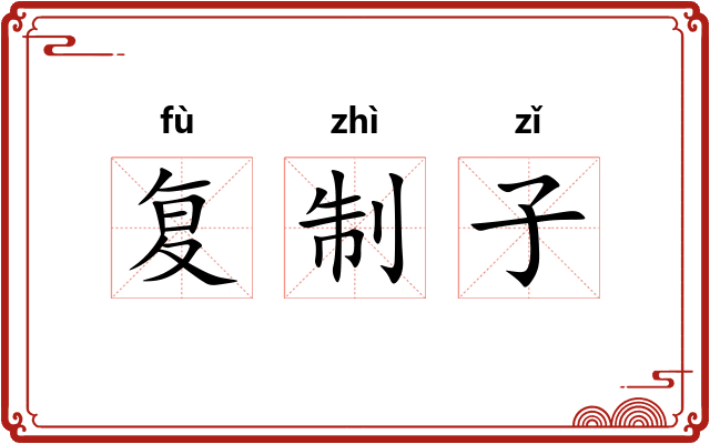 复制子