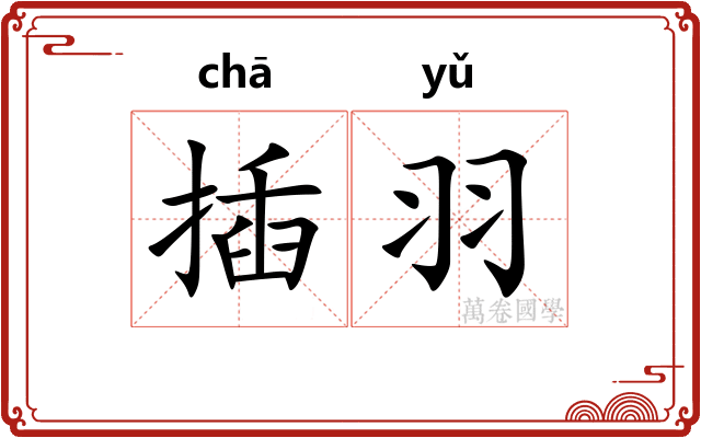插羽