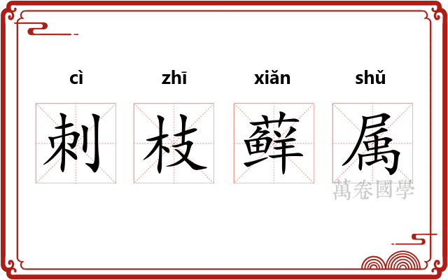 刺枝藓属