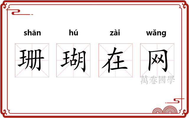 珊瑚在网