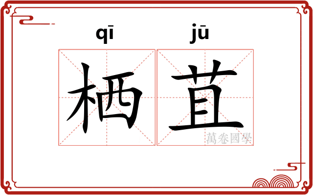 栖苴