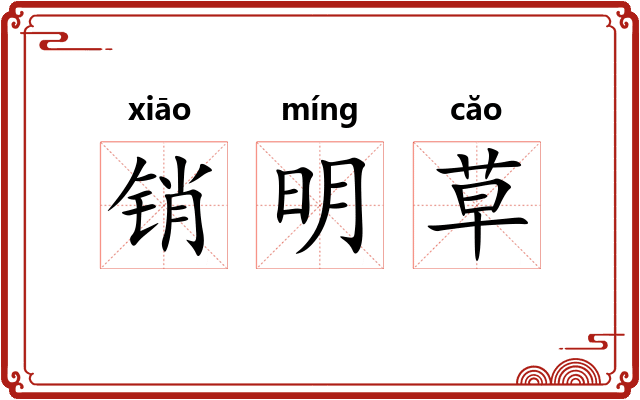 销明草