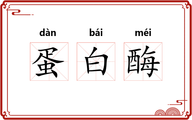 蛋白酶