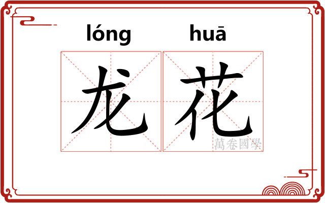 龙花 龙花