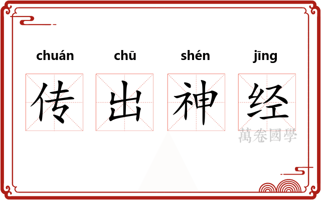 传出神经