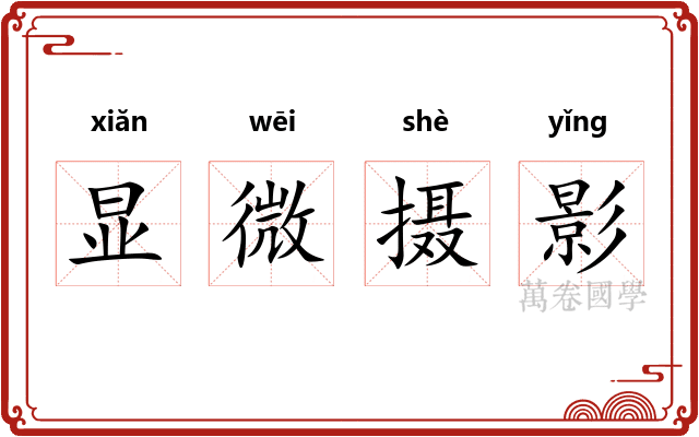 显微摄影