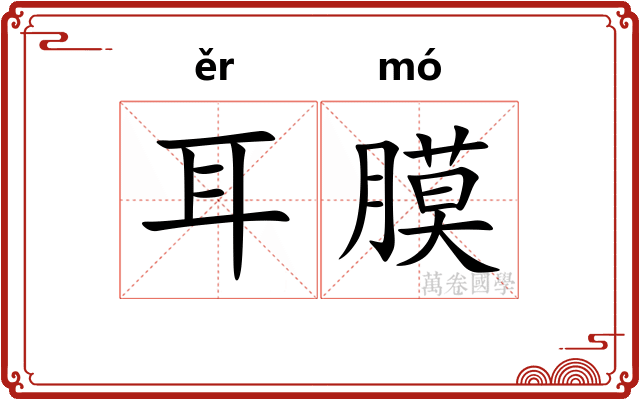 耳膜