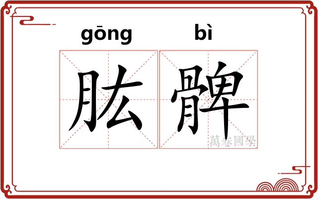 肱髀