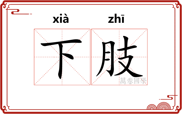 下肢 下肢