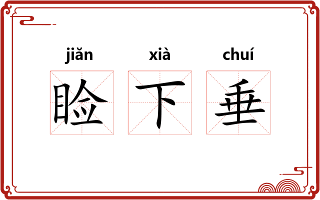 睑下垂 睑下垂
