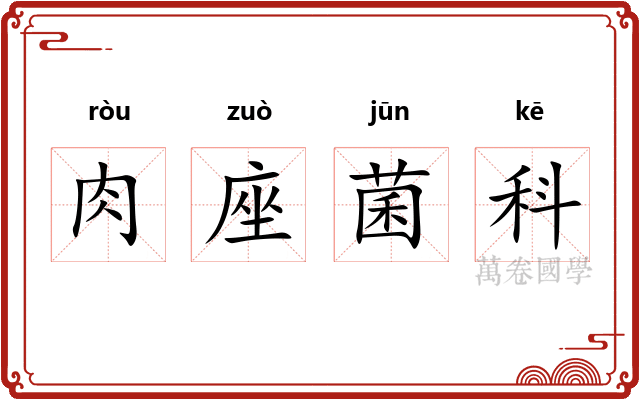 肉座菌科