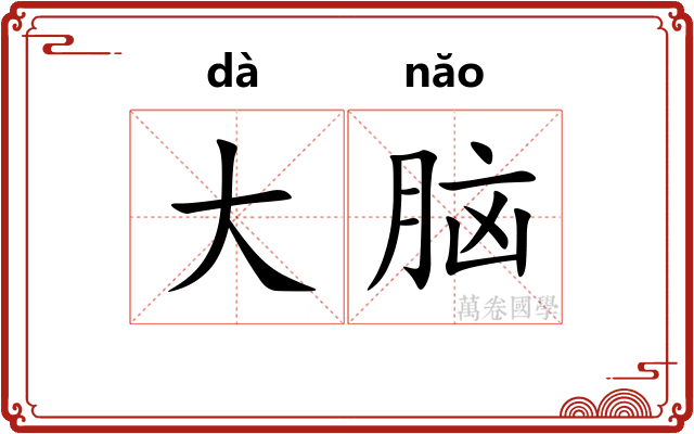 大脑